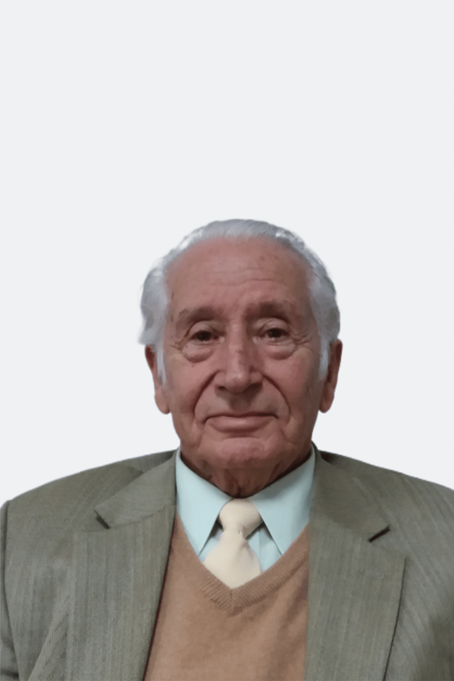José Domínguez Ortega