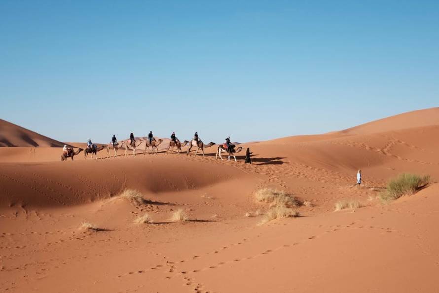 El Verano caliente de la Primavera Árabe