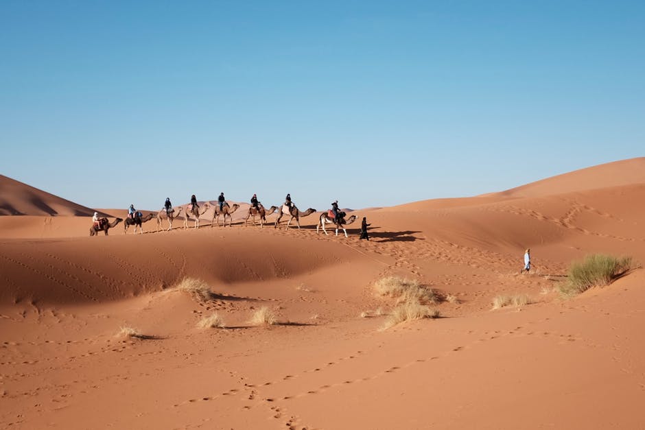 El Verano caliente de la Primavera Árabe