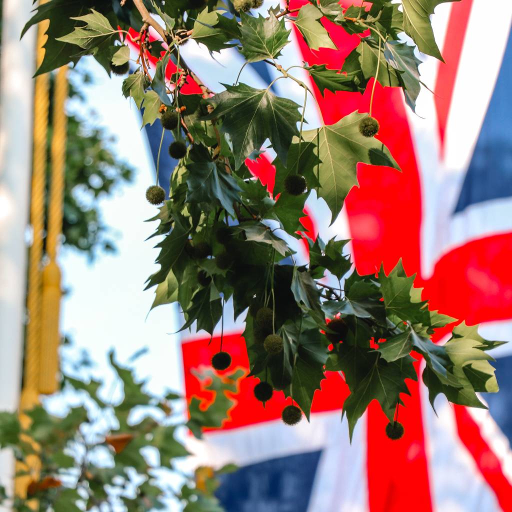 ¿Por qué ha ocurrido el Brexit?