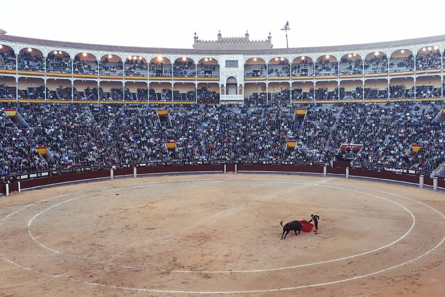 Los ganaderos de toros de lidia, protectores de una raza única