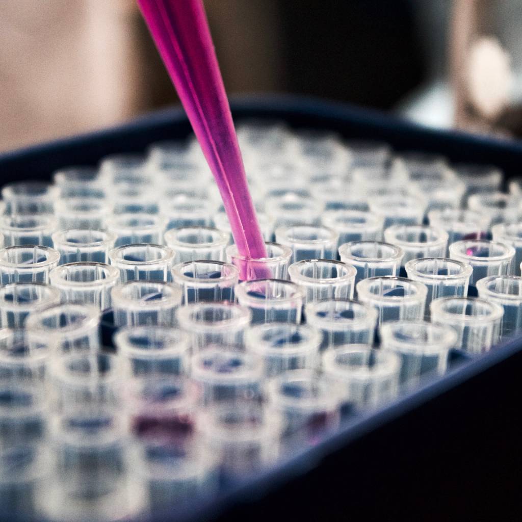 The right to vaccine of all humanity