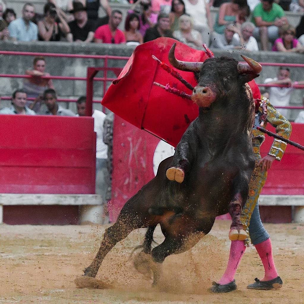 Las corridas de toros, una costumbre a mantener