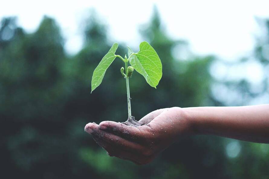 Greenwashing y la inversión verde