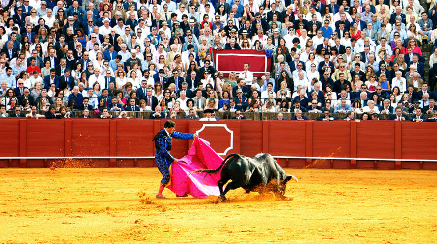 Las acciones jurídicas de la Fundación del Toro frente a los ataques antitaurinos