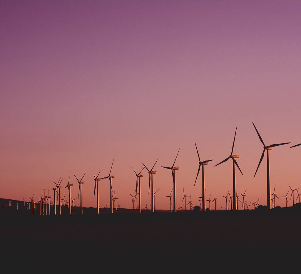 La agrivoltaica; una nueva frontera para las energías renovables