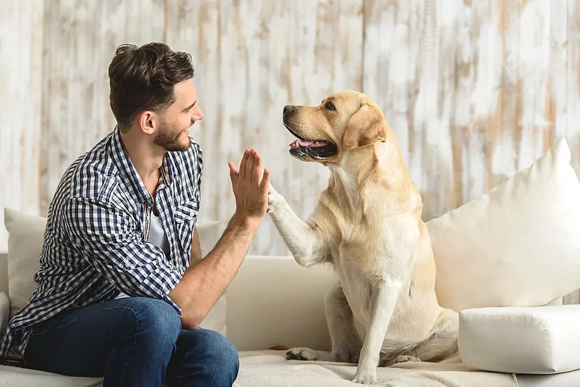 ¿Cómo no estar de acuerdo con el bienestar animal?