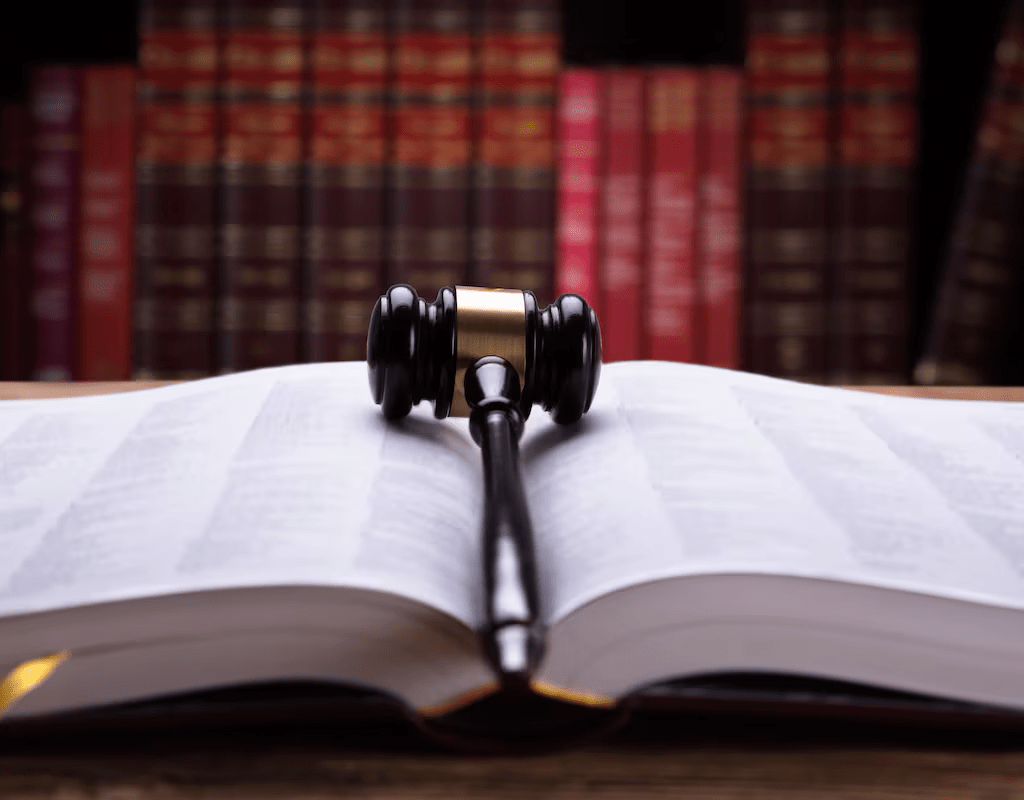 El valor del derecho para el bien público