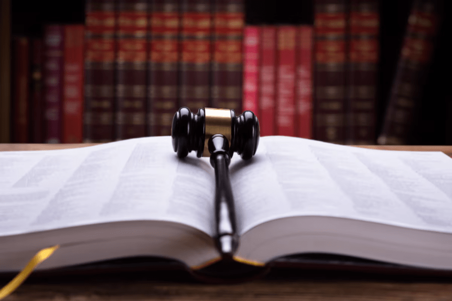 El valor del derecho para el bien público