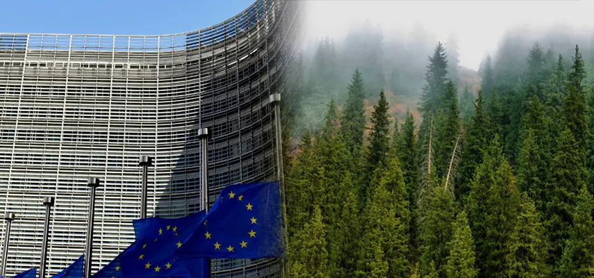 Principales novedades del Reglamento EUDR y su impacto en las empresas