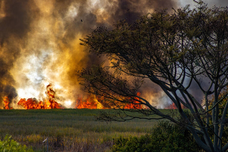 Incendios forestales en España: ¿cuándo existe responsabilidad penal?